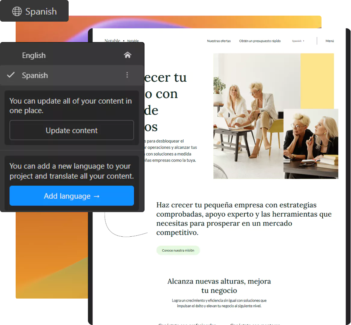 website localization and translation