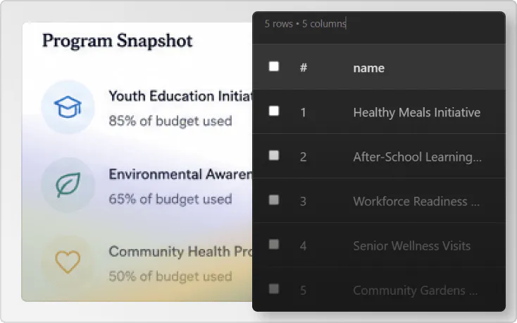 Non profit platform program management snapshot