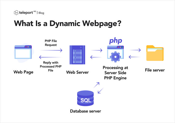 examples of static and dynamic website