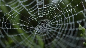 Creating a Web Scraping Pipeline Using AWS Services